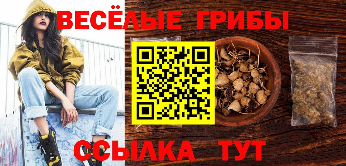 Псилоцибиновые грибы мицелий Ноябрьск